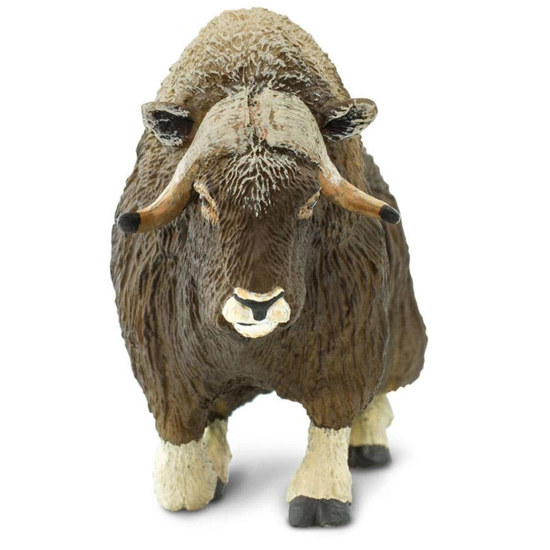 Muskox Figurine - Hand Painted Wild Animal Toy Figure - Safari Ltd