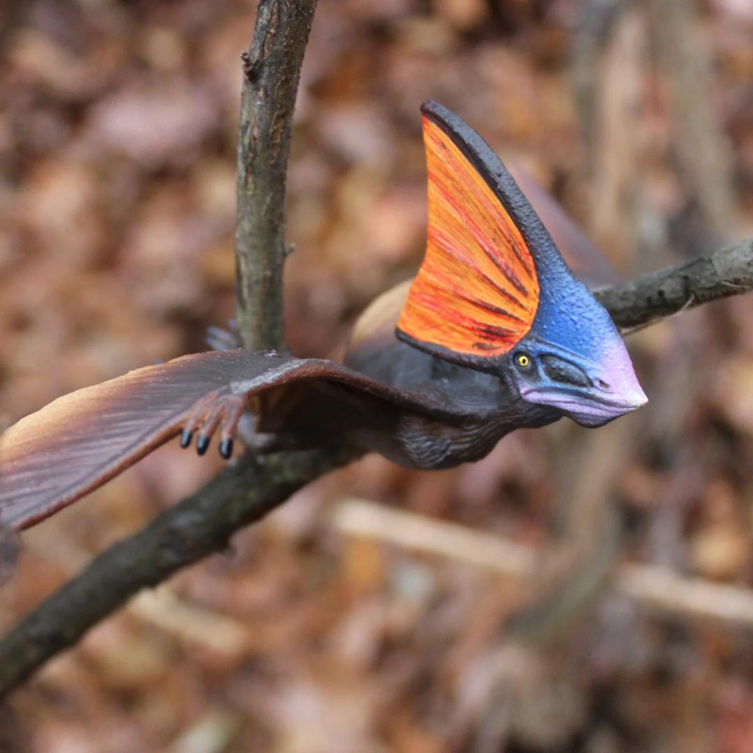 Tapejara Dinosaur Figurine - Hand Painted Prehistoric Toy for Kids - Safari Ltd 284229