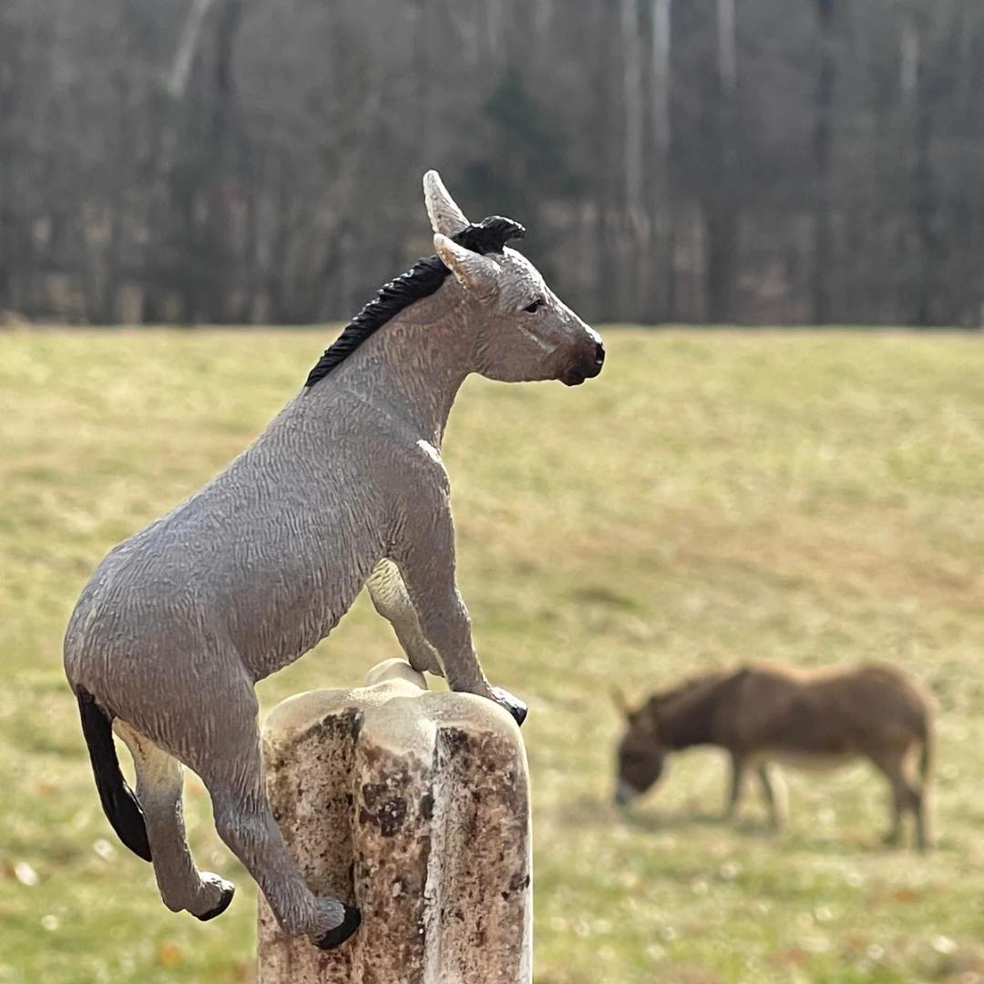 Donkey Figurine - Hand Painted Wild Animal Toy Figure for Kids - Safari Ltd 249829