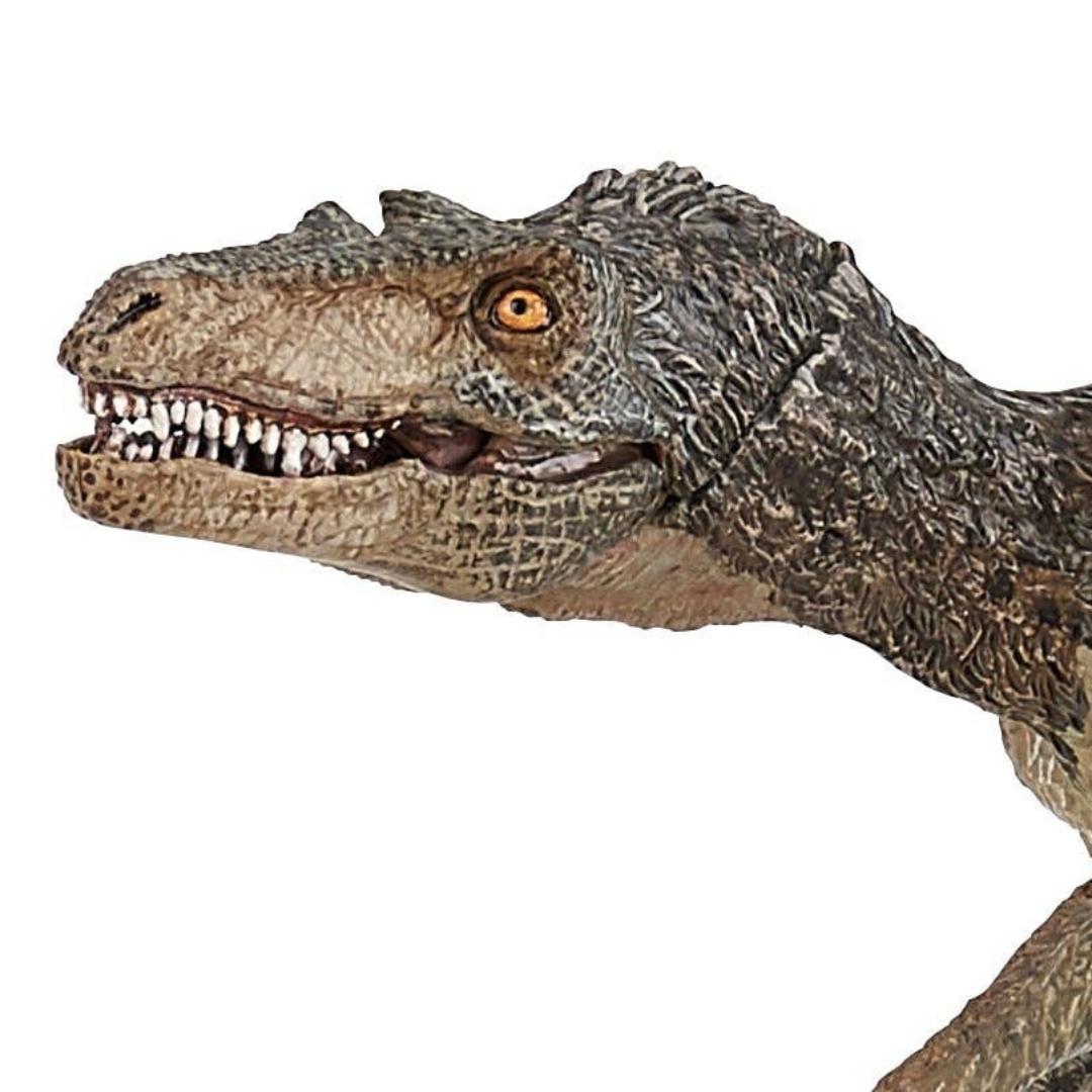 Feathered Velociraptor Figurine - Hand Painted Prehistoric Toy Figure - Papo 55086