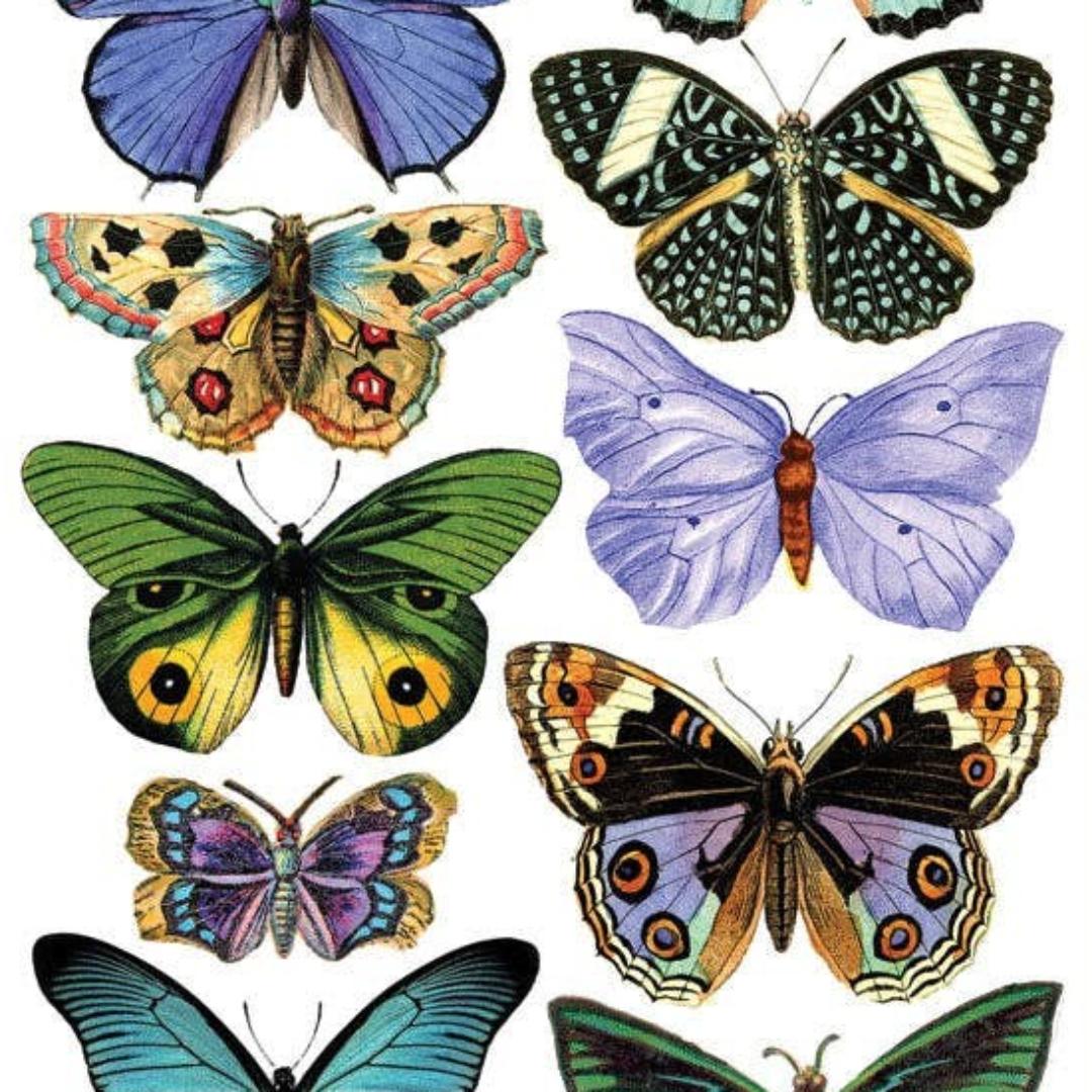 Blue Butterfly Stickers - Beautiful Butterflies Sticker Sheet