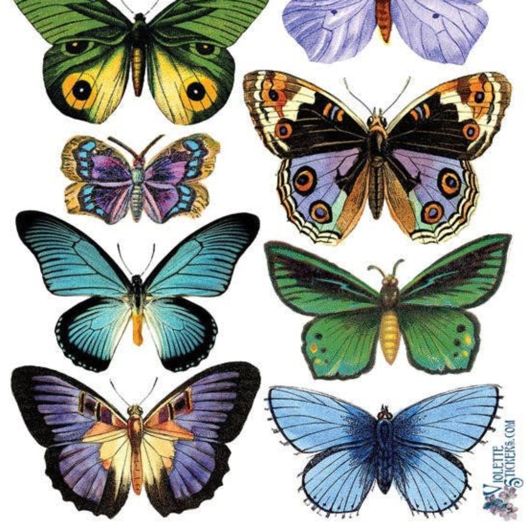 Blue Butterfly Stickers - Beautiful Butterflies Sticker Sheet