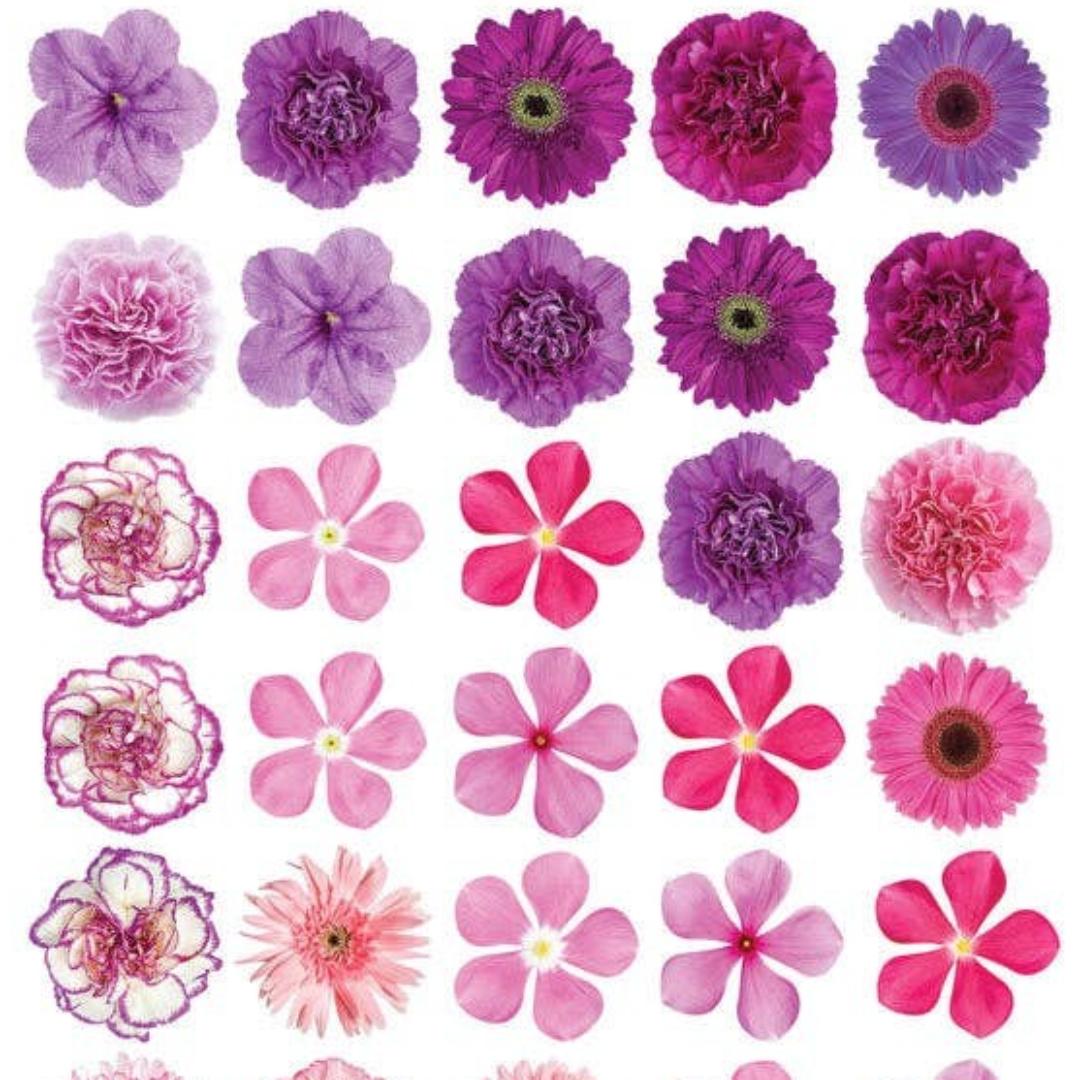 Mini Pink Flower Stickers - Miniature Flowers Sticker Sheet