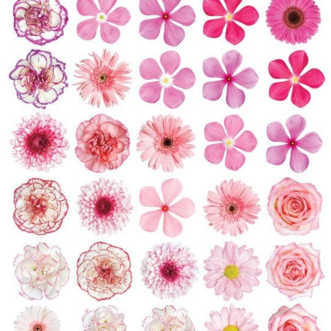 Mini Pink Flower Stickers - Miniature Flowers Sticker Sheet