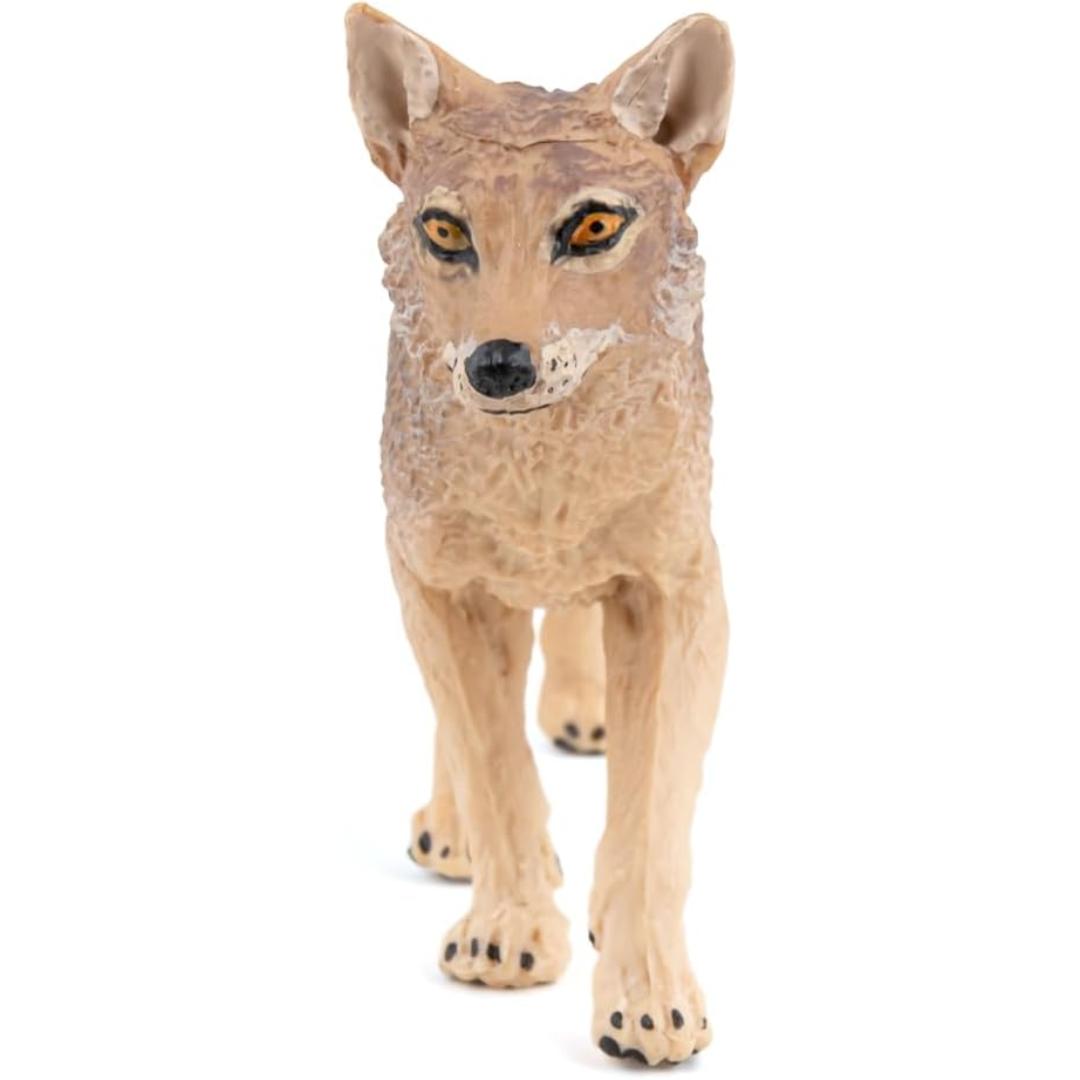 Jackal Figurine - Hand Painted Wild Animal Toy Figure - Papo 50259