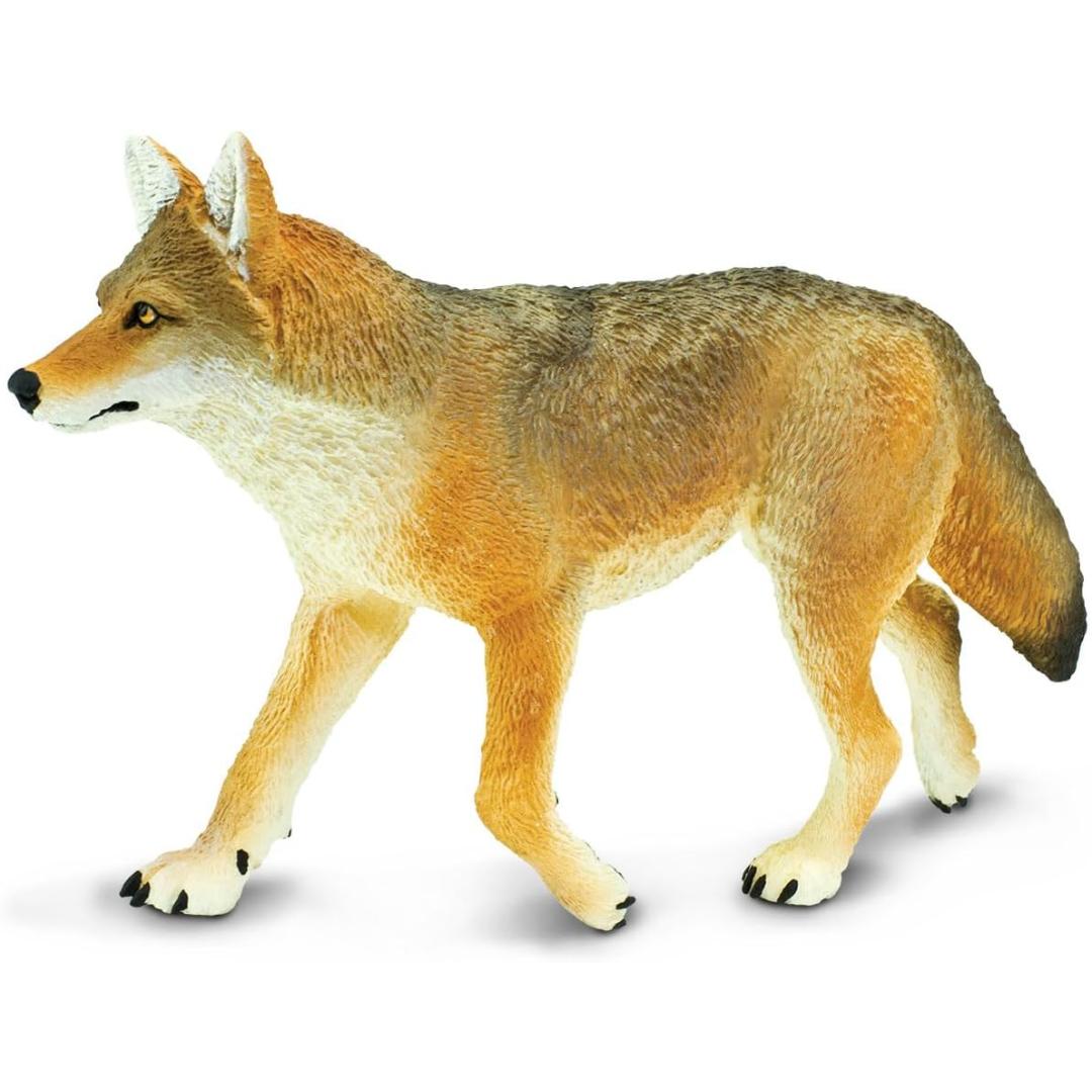 Coyote Figurine - Hand Painted Wild Animal Toy Figure - Safari Ltd