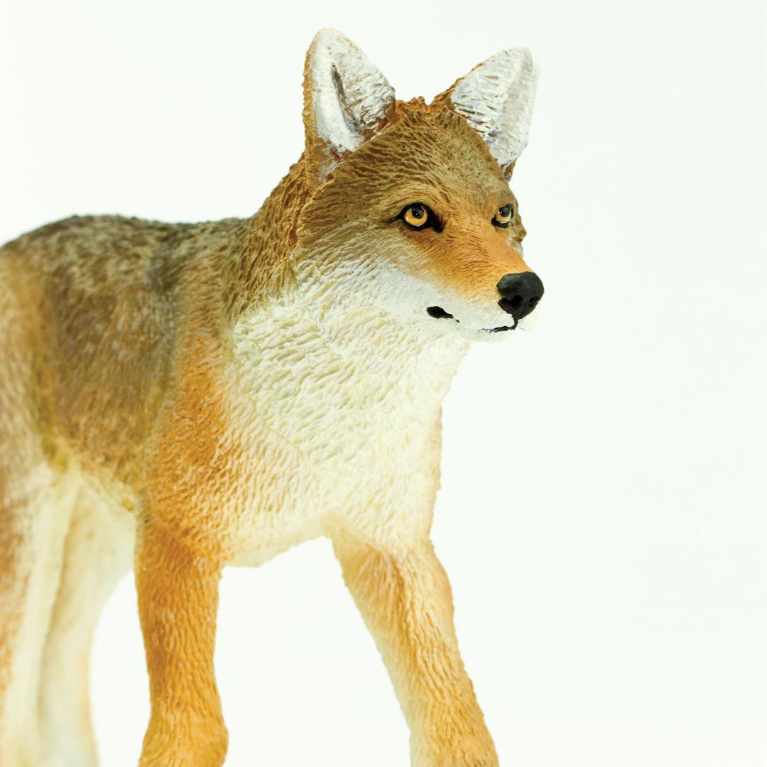 Coyote Figurine - Hand Painted Wild Animal Toy Figure - Safari Ltd