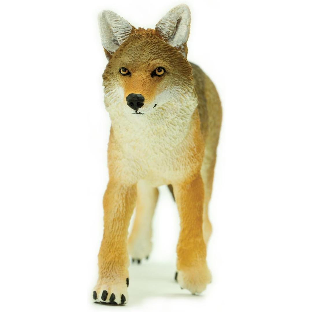 Coyote Figurine - Hand Painted Wild Animal Toy Figure - Safari Ltd