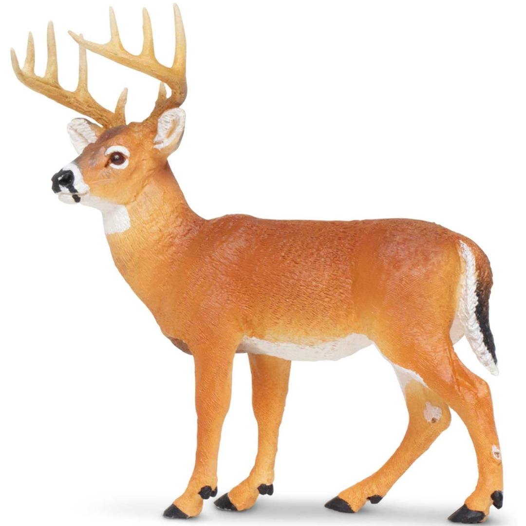 Whitetail Buck Deer Figurine - Hand Painted Wild Animal Toy Figure - Safari Ltd 180029