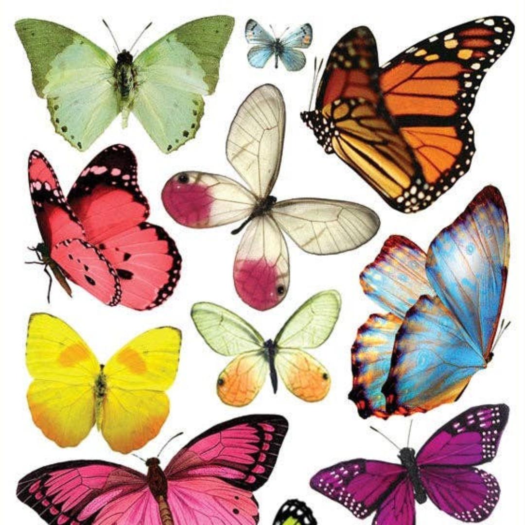 Butterfly Stickers - Ghost Butterflies Sticker Sheet