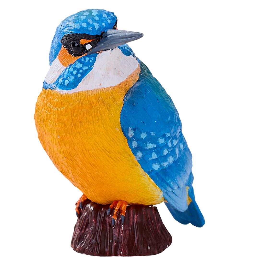 Kingfisher - Mojo Fun