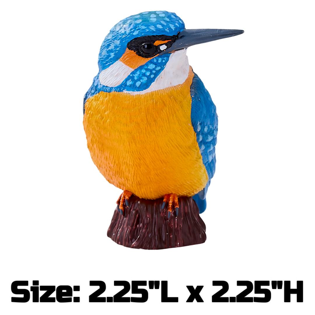 Kingfisher - Mojo Fun