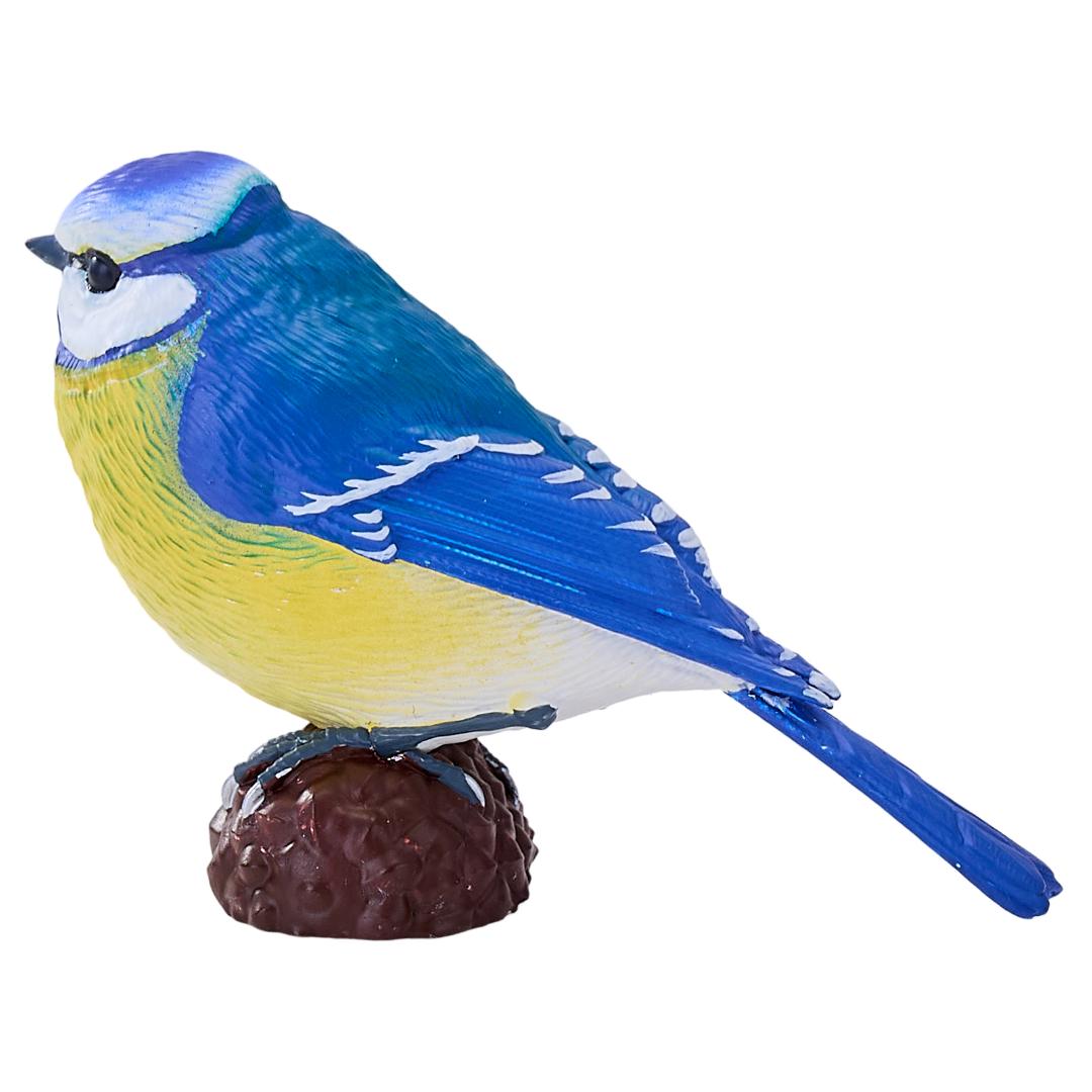 Blue Tit - Mojo Fun