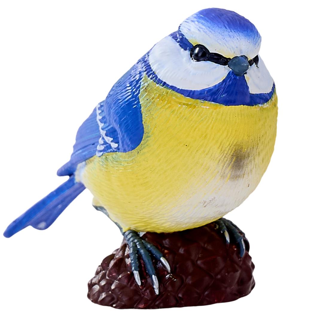 Blue Tit - Mojo Fun