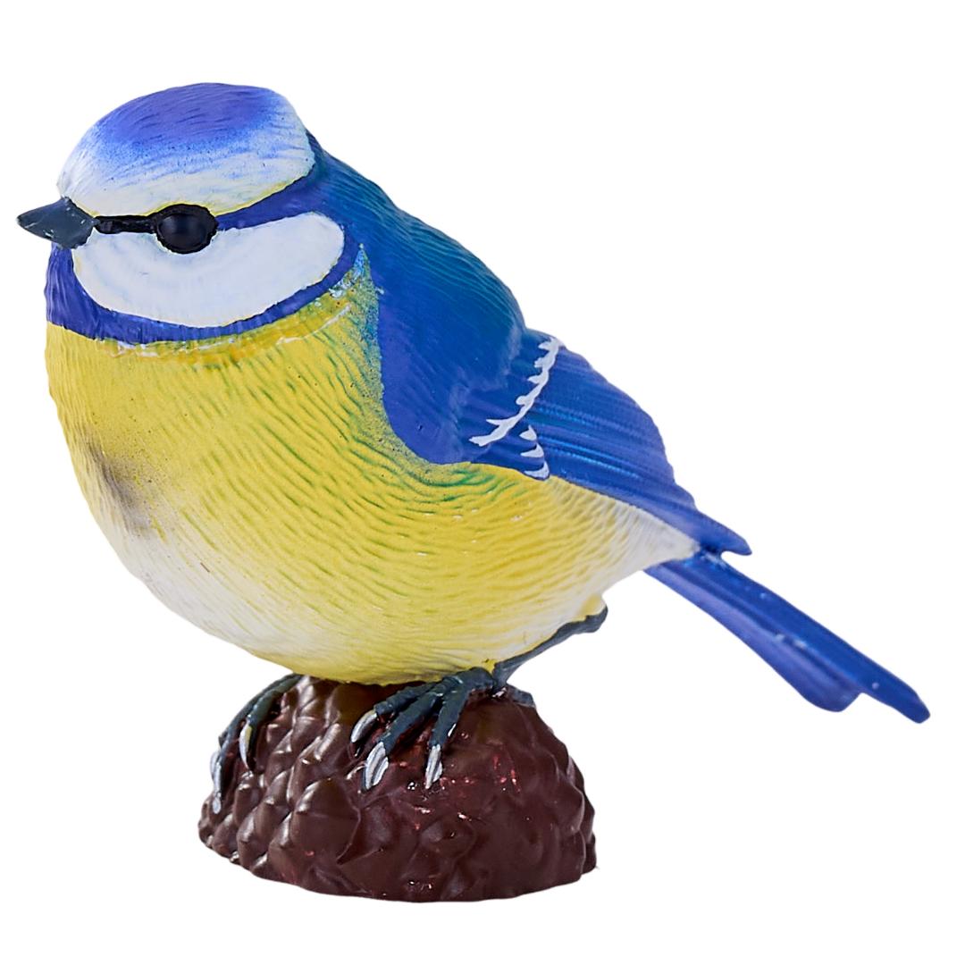 Blue Tit - Mojo Fun