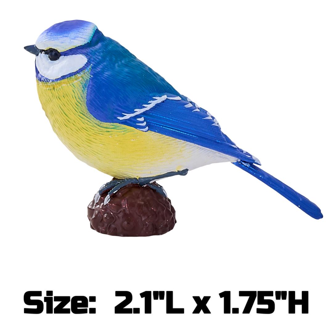 Blue Tit - Mojo Fun