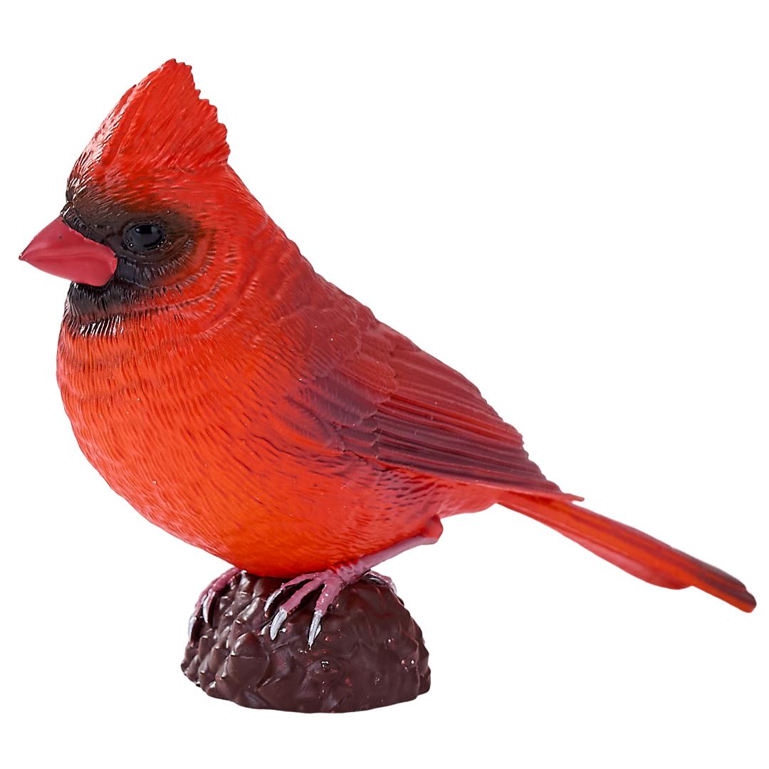 Red Cardinal - Mojo Fun