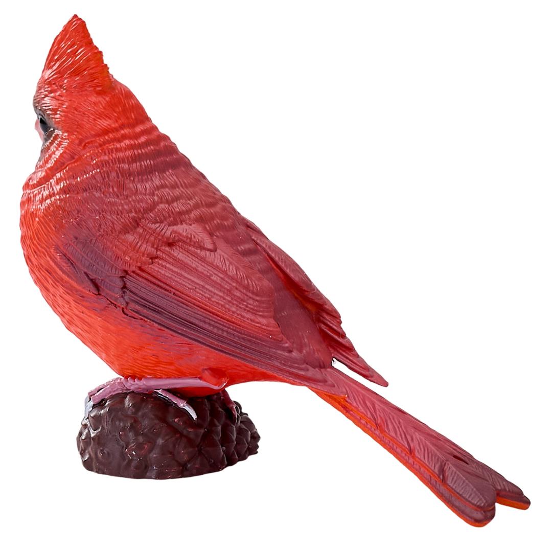 Red Cardinal - Mojo Fun