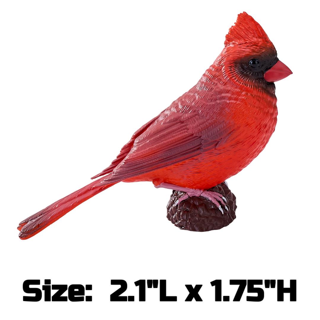 Red Cardinal - Mojo Fun