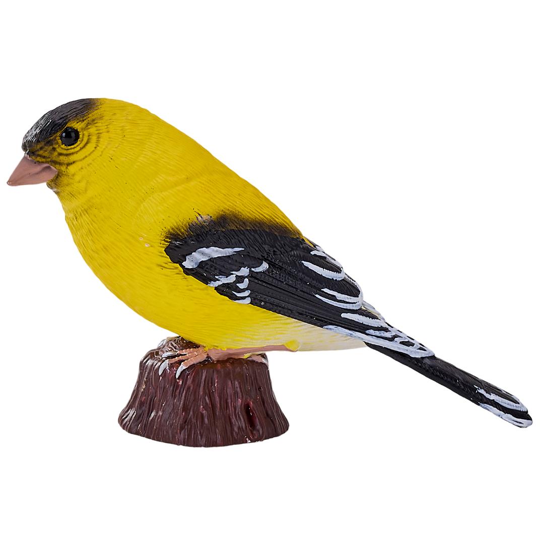 American Goldlfinch - Mojo Fun
