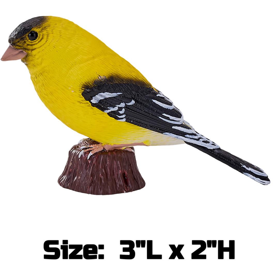 American Goldlfinch - Mojo Fun