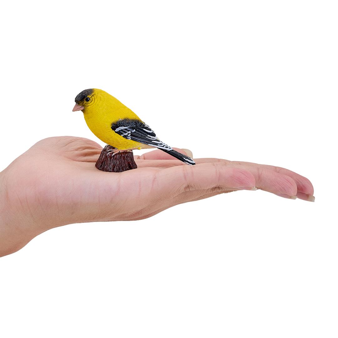 American Goldlfinch - Mojo Fun