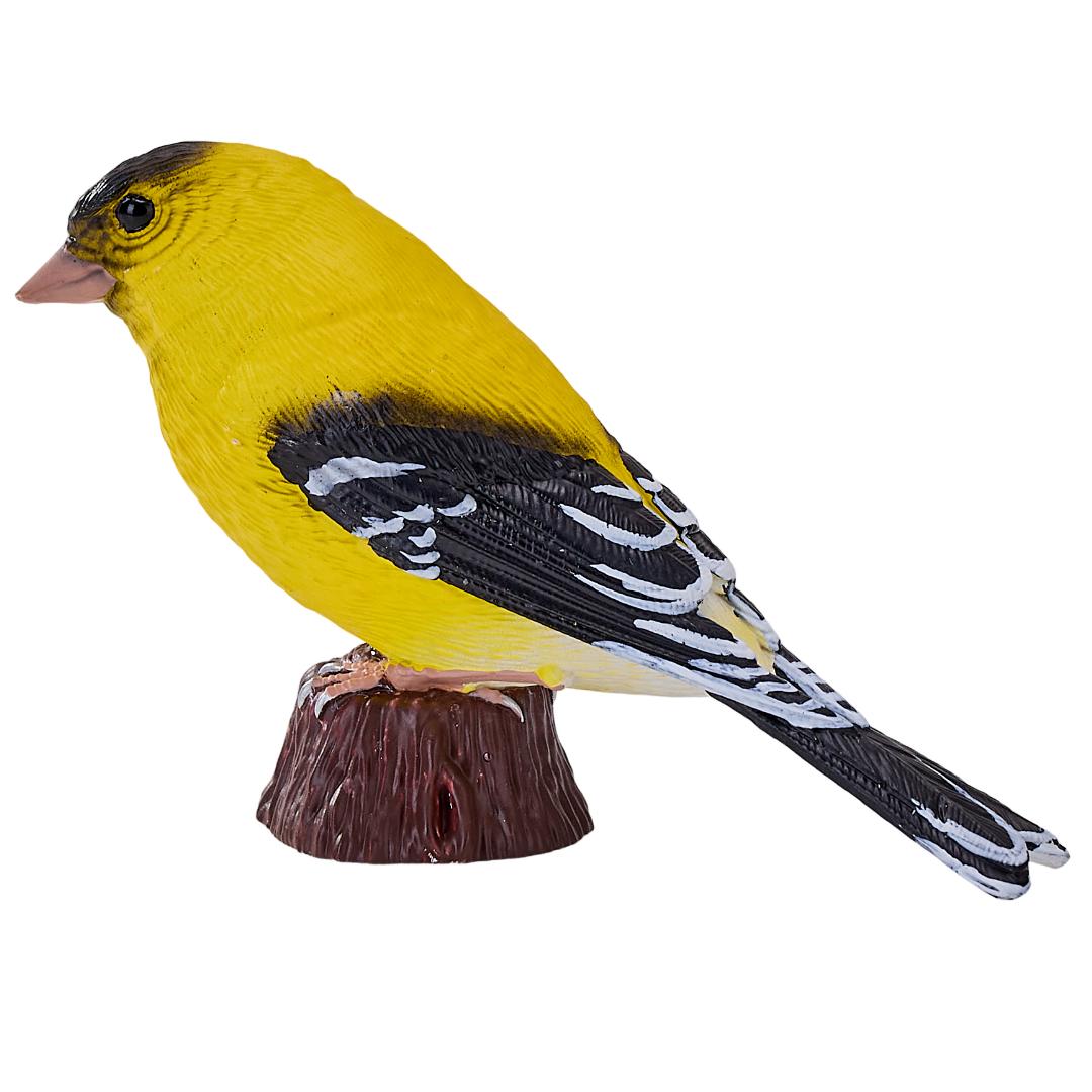 American Goldlfinch - Mojo Fun