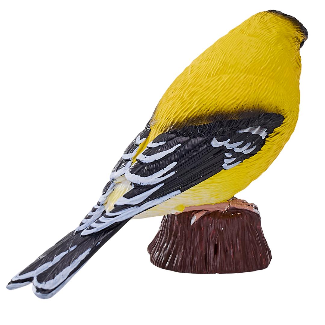 American Goldlfinch - Mojo Fun
