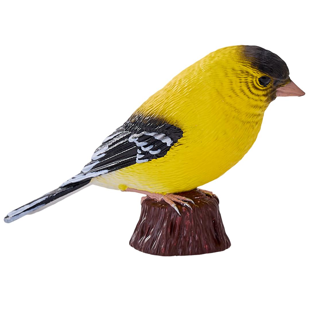 American Goldlfinch - Mojo Fun