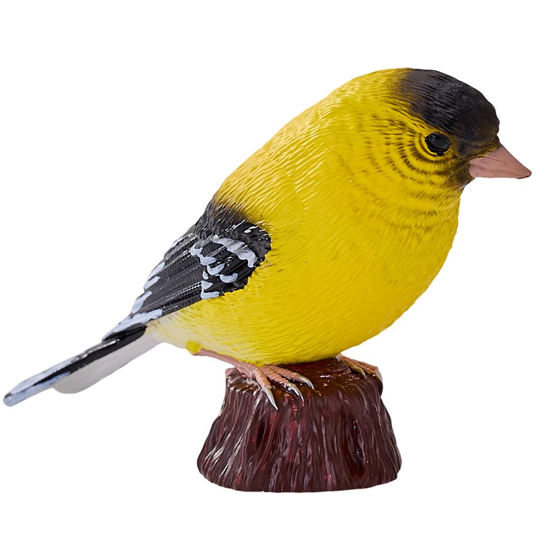 American Goldlfinch - Mojo Fun