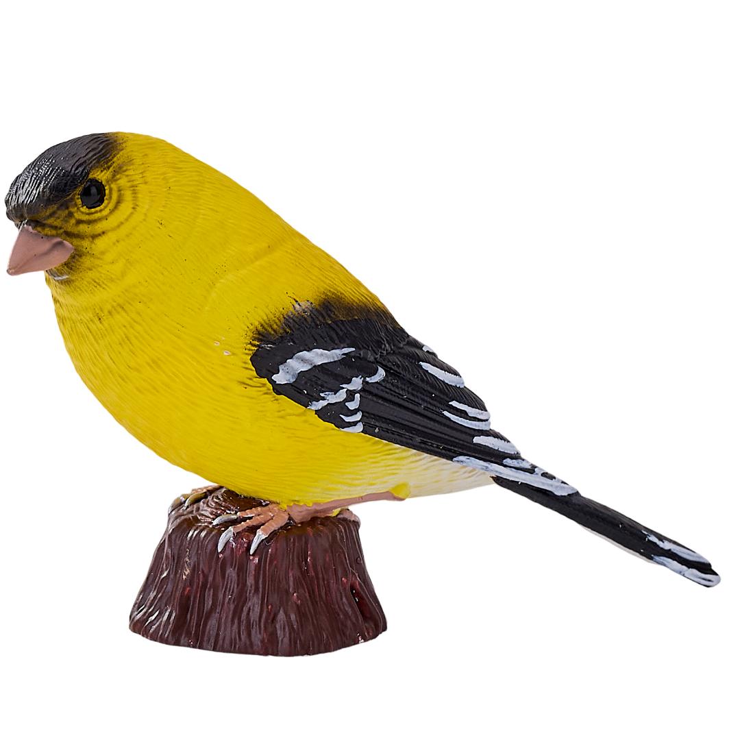 American Goldlfinch - Mojo Fun