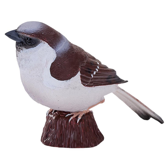 House Sparrow Figurine - Small Hand Painted Wildlife & Bird Toy Figure - Mojo