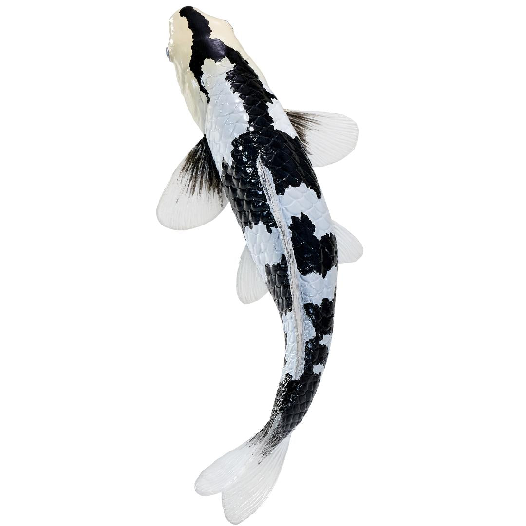 Koi Carp Fish Figurine - Shiro Utsuri Koi (Black & White) Hand Painted Toy Figure - Mojo