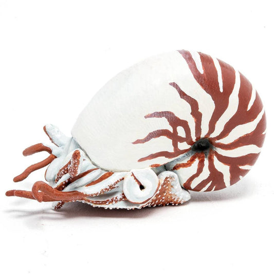 Nautilus Figurine - Hand Painted Collectible Sea Life Toy Figure - Papo