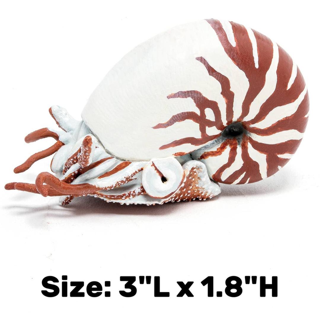 Nautilus Figurine - Hand Painted Collectible Sea Life Toy Figure - Papo