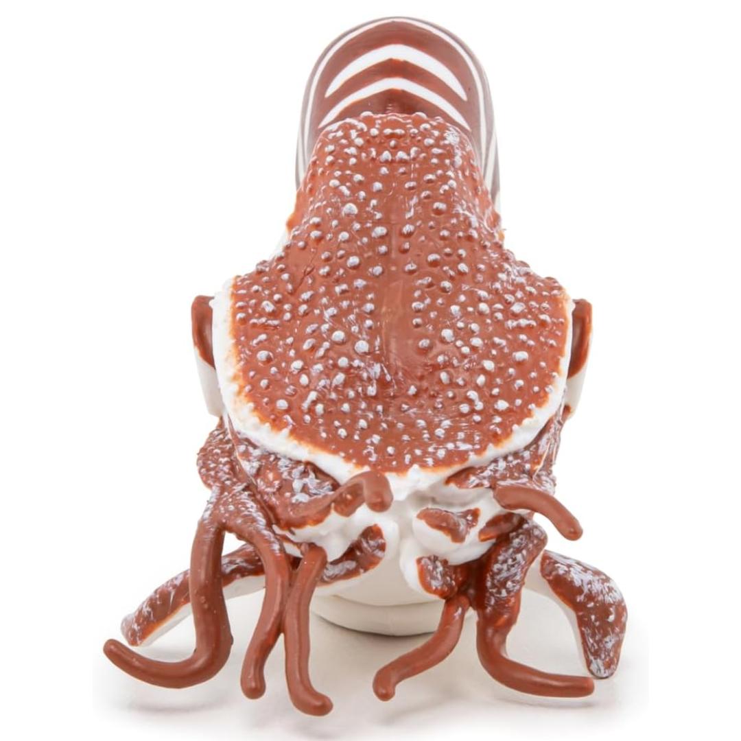 Nautilus Figurine - Hand Painted Collectible Sea Life Toy Figure - Papo