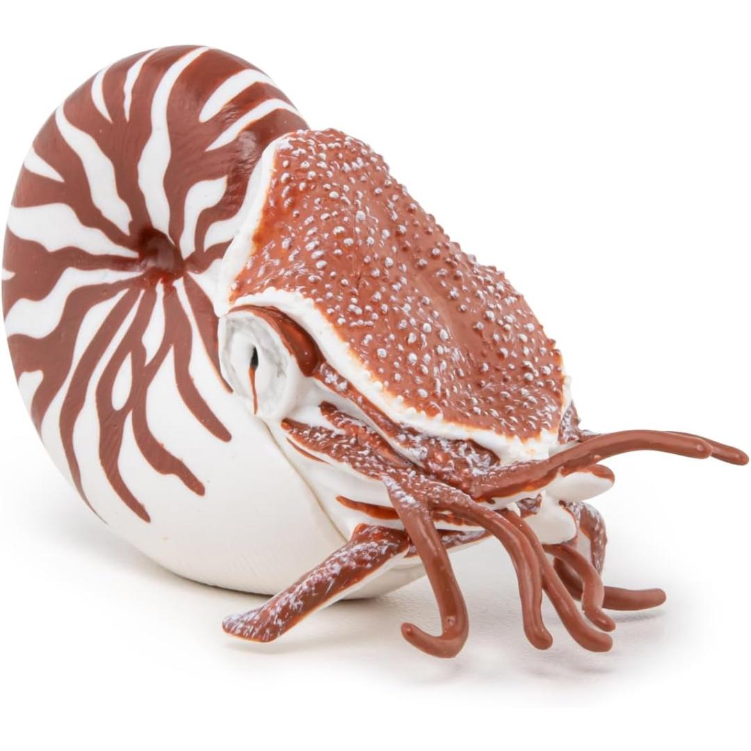 Nautilus Figurine - Hand Painted Collectible Sea Life Toy Figure - Papo