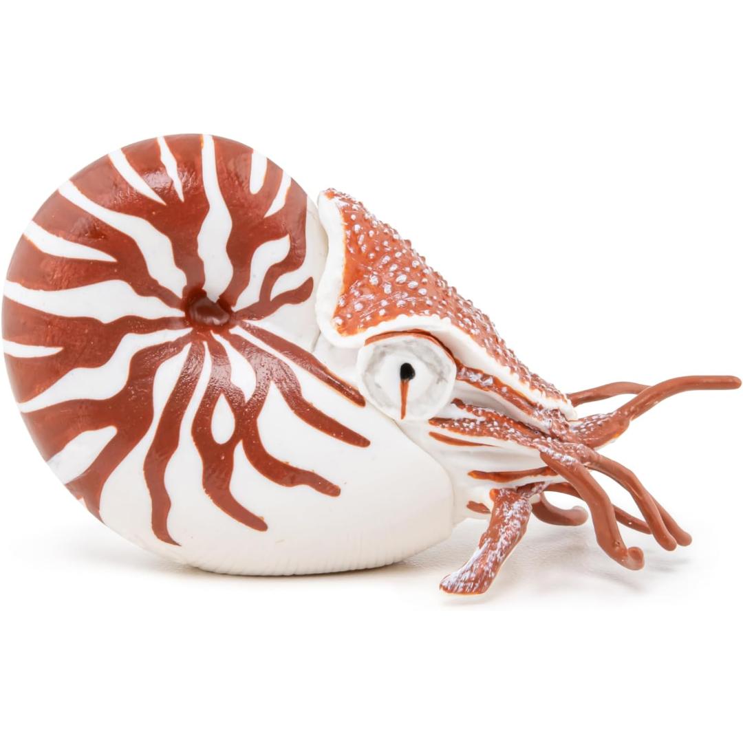 Nautilus Figurine - Hand Painted Collectible Sea Life Toy Figure - Papo