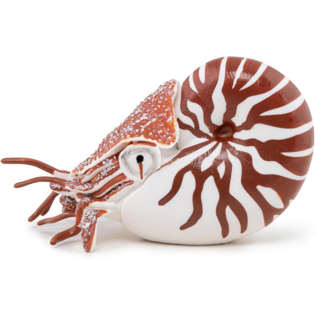 Nautilus Figurine - Hand Painted Collectible Sea Life Toy Figure - Papo