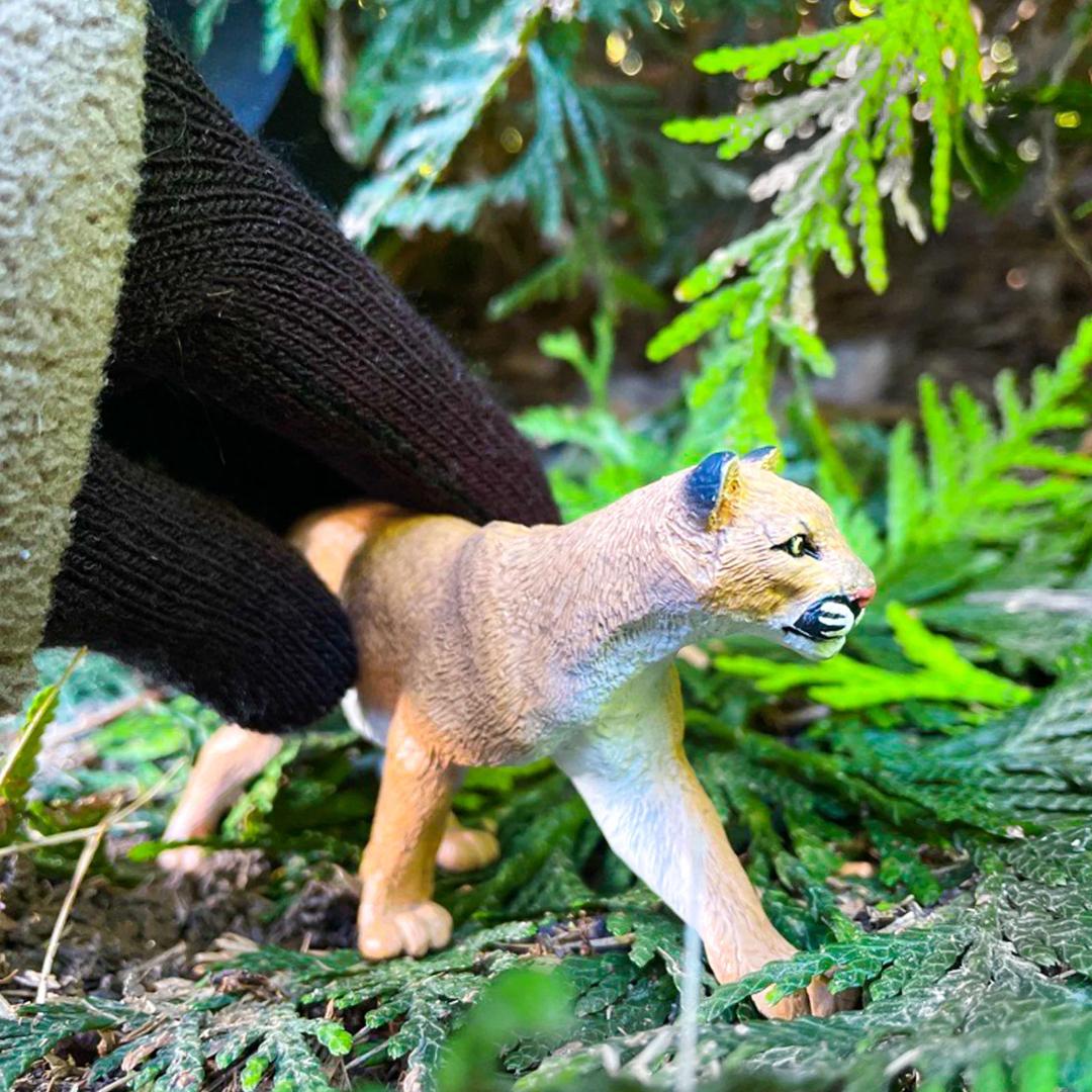 Mountain Lion Figurine - Hand Painted Collectible Wild Animal Figure - Safari Ltd