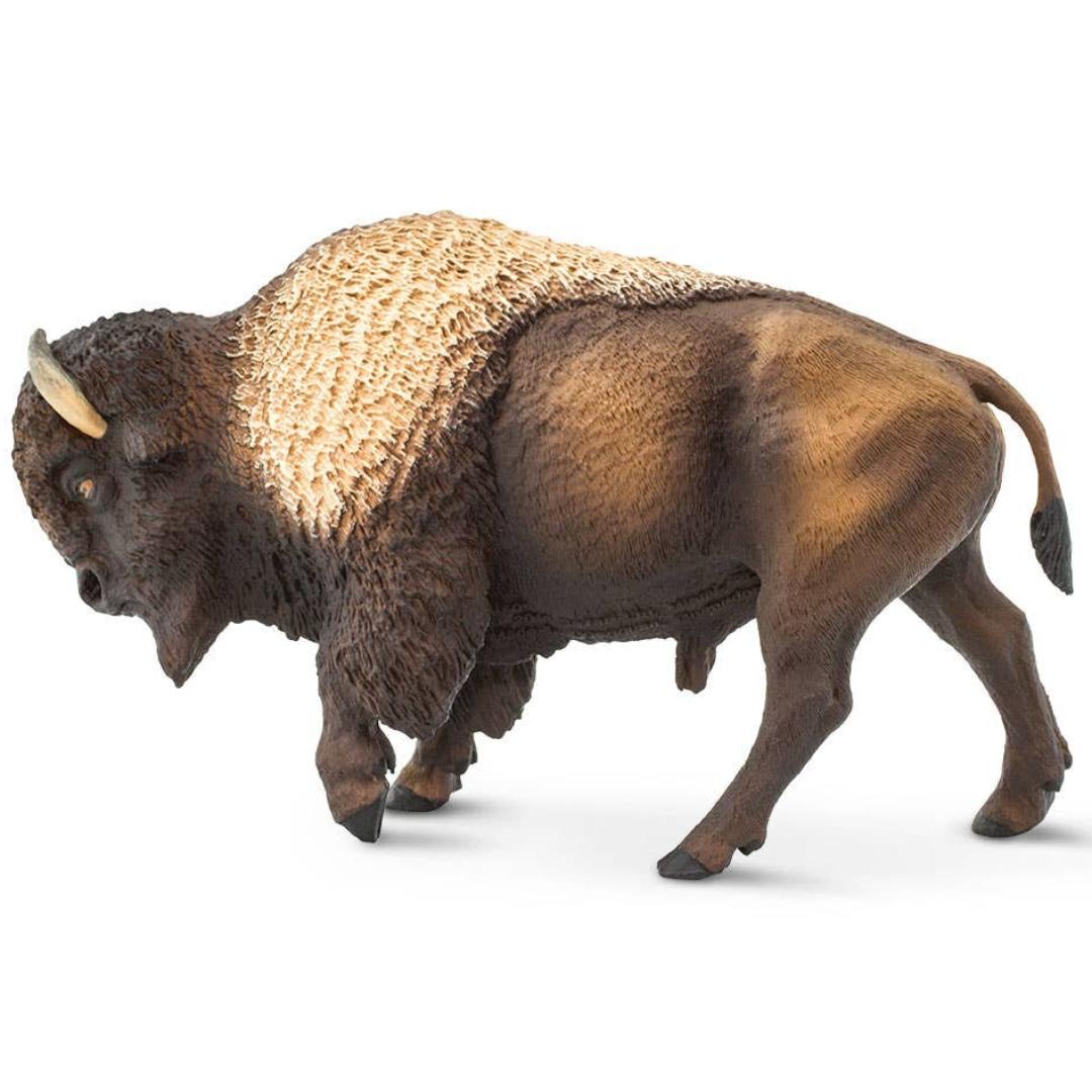 Bison Figurine - Hand Painted Collectible Wild Animal Toy Figure - Safari Ltd
