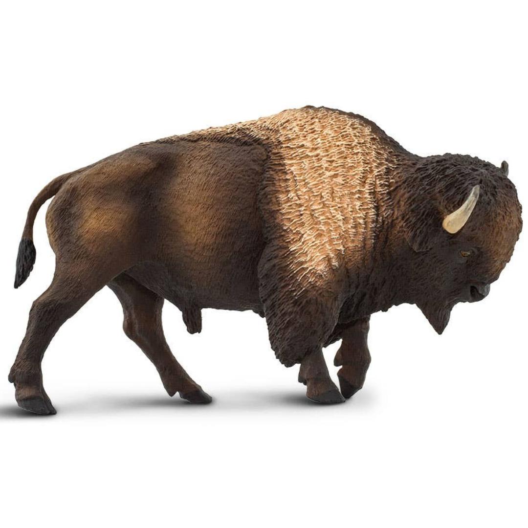 Bison Figurine - Hand Painted Collectible Wild Animal Toy Figure - Safari Ltd