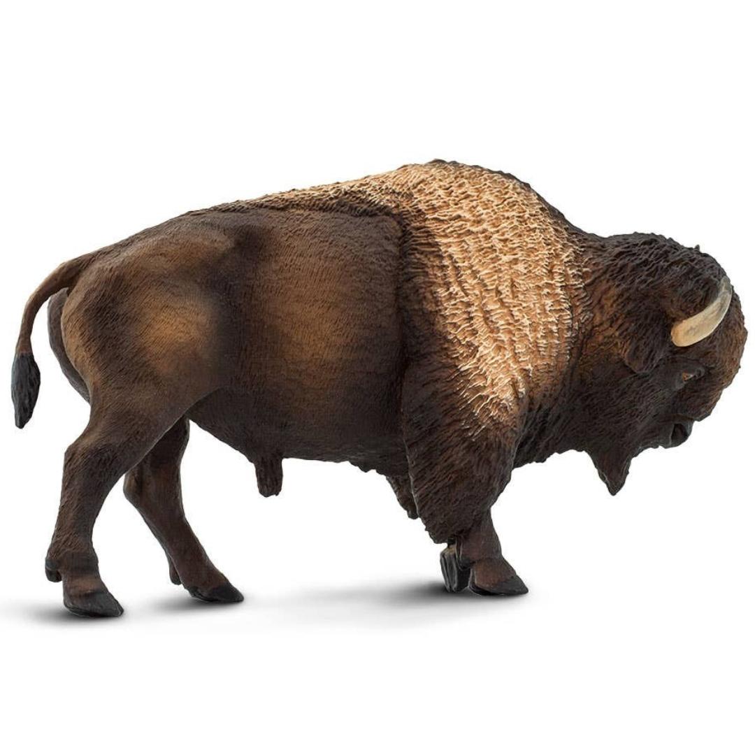 Bison Figurine - Hand Painted Collectible Wild Animal Toy Figure - Safari Ltd