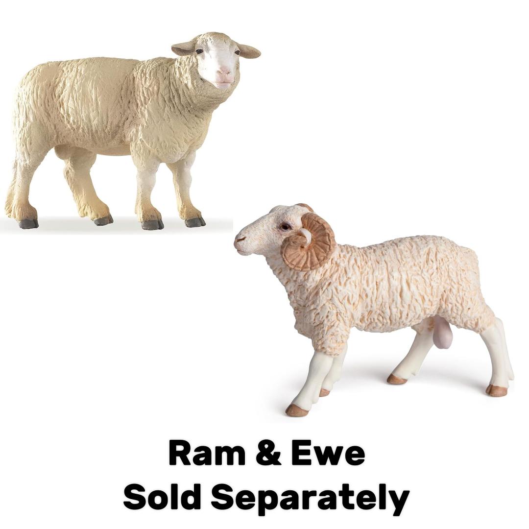 Baby Sheep Figurine - Hand Painted Collectible Lamb Farm Animal Toy Figure - Papo