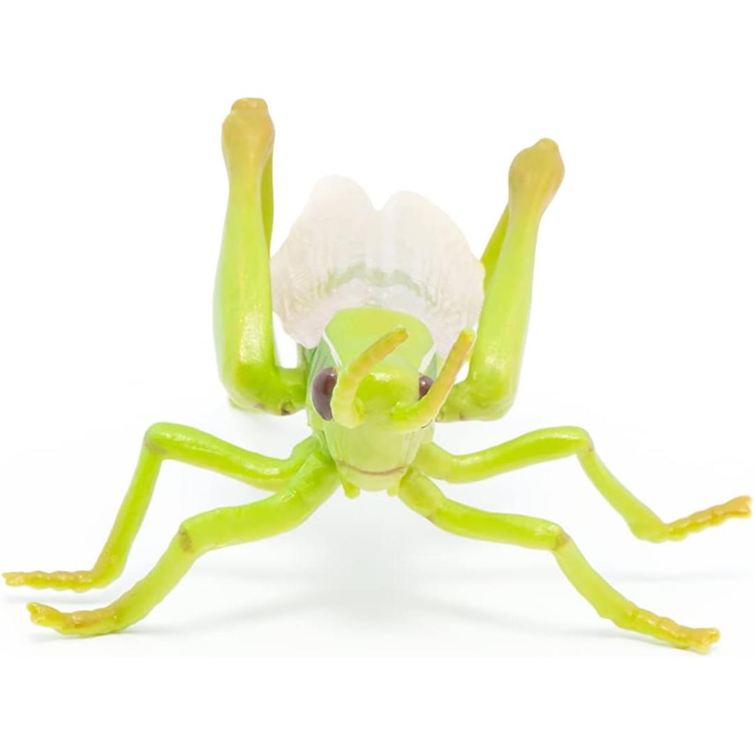 Grasshopper Figurine - Hand Painted Collectible Toy Insect Figure - Papo
