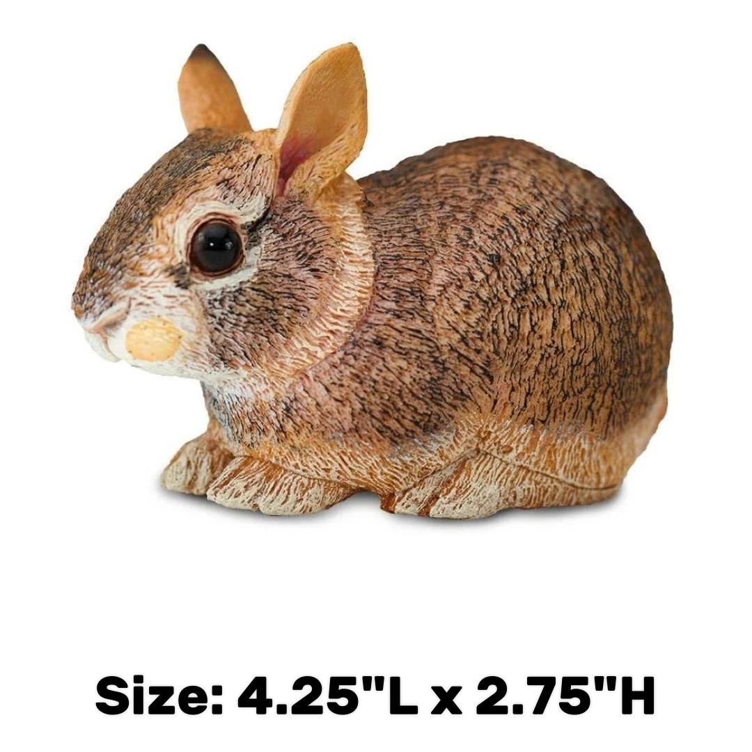 Eastern Cottontail Baby Rabbit Figurine - Hand Painted Wild Animal Toy Figure - Safari Ltd