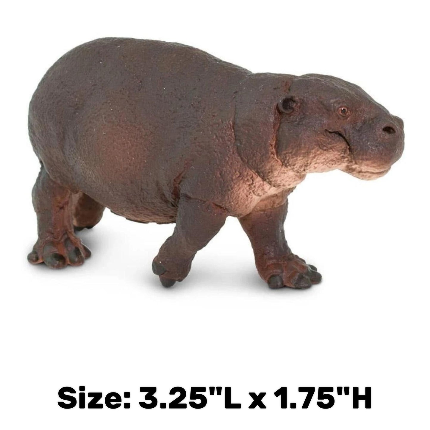 Pygmy Hippo Figurine - Small Hand Painted Wild Animal Toy Figure - Safari Ltd