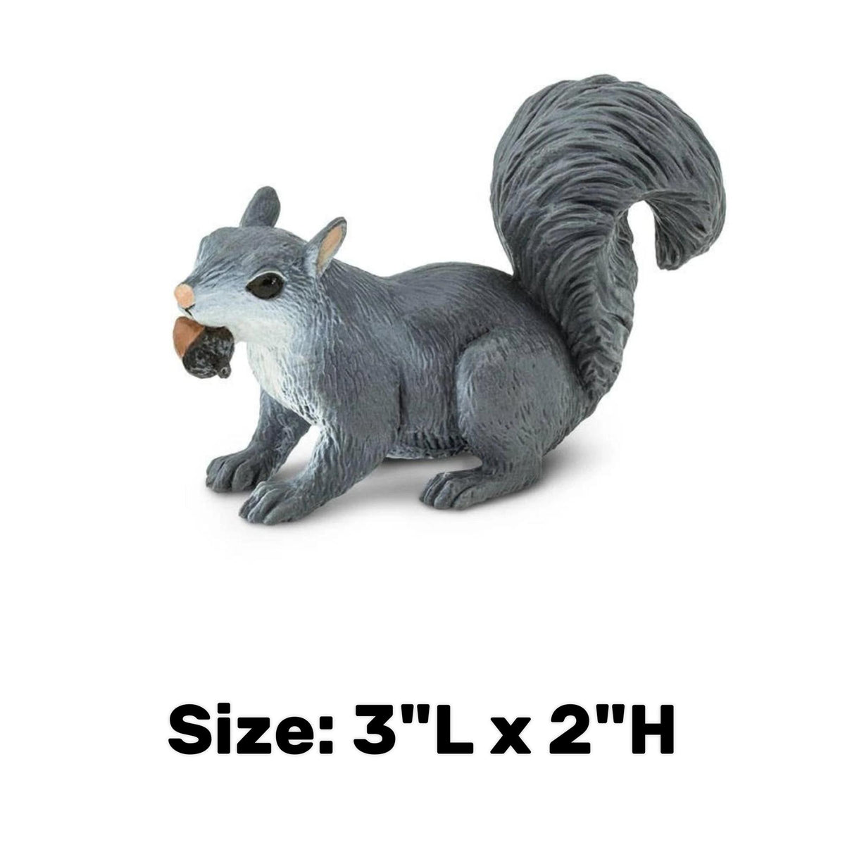 Gray Squirrel Figurine - Hand Painted Woodland Animal Toy Figure - Safari Ltd