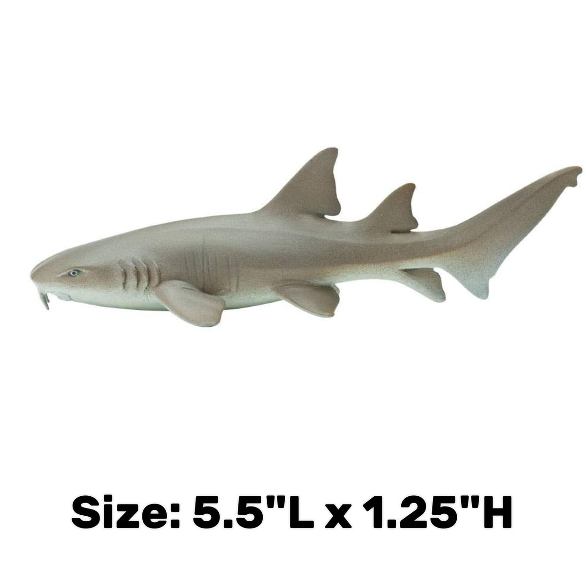 Nurse Shark - Safari Ltd.