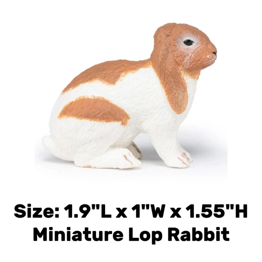 Lop Rabbit - Papo
